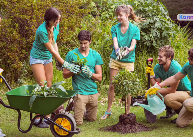 What Does Social Contagion Mean in Communities? 4 Powerful Lessons for Nonprofits and Networks