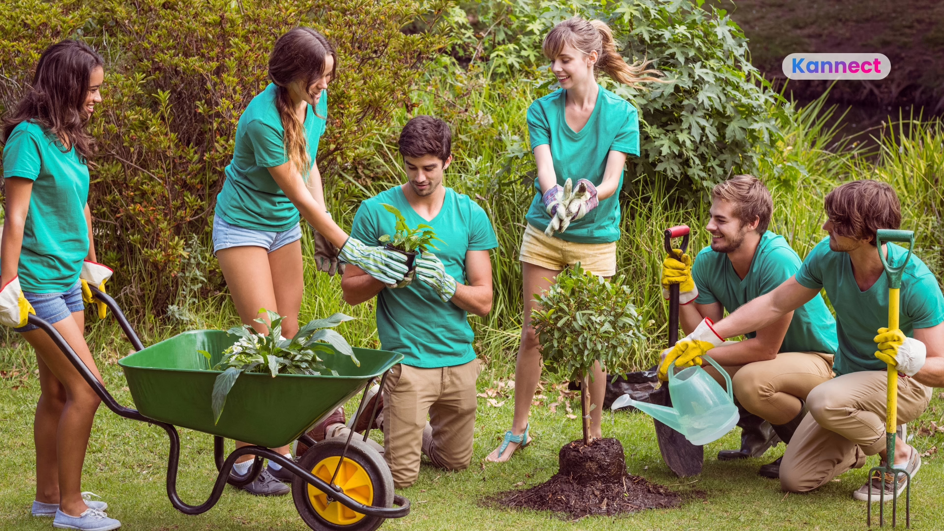 What Does Social Contagion Mean in Communities? 4 Powerful Lessons for Nonprofits and Networks